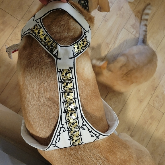 NEW Sass and Bide honourable friend embroidered beaded wedding harness dogs - Picture 2 of 8